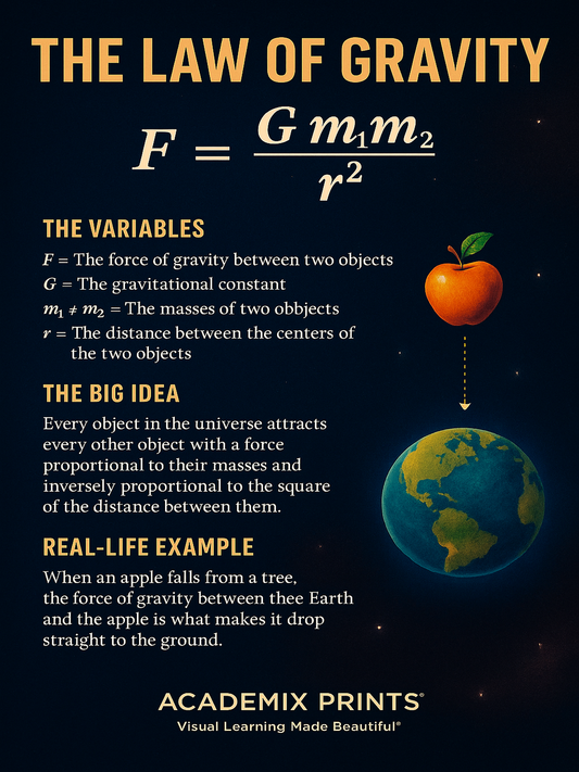 The Law of Gravity